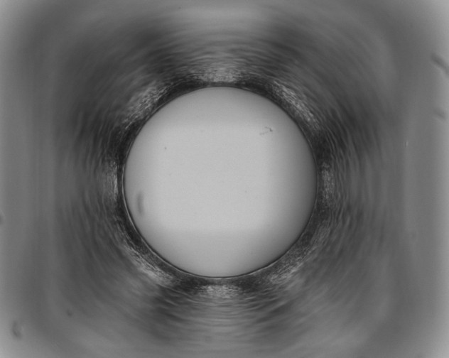 X0000096680541200802191354