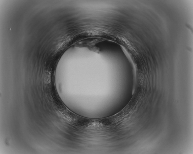 X0000096680543200802191355
