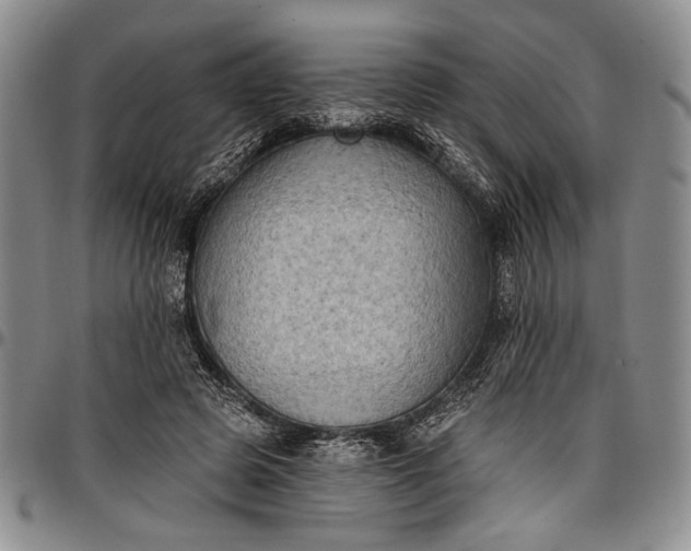 X0000096680545200802191355