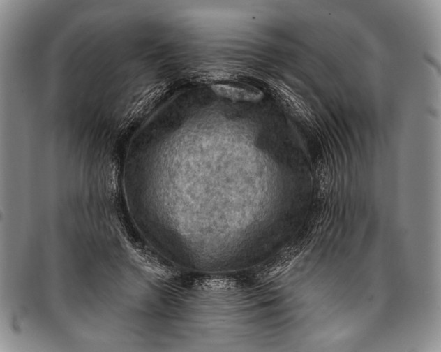 X0000096680546200802191355