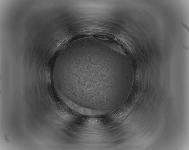 X0000096680547200802191355