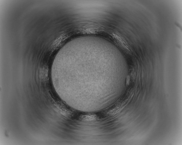 X0000096680548200802191355