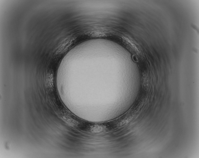 X0000096680549200802191355