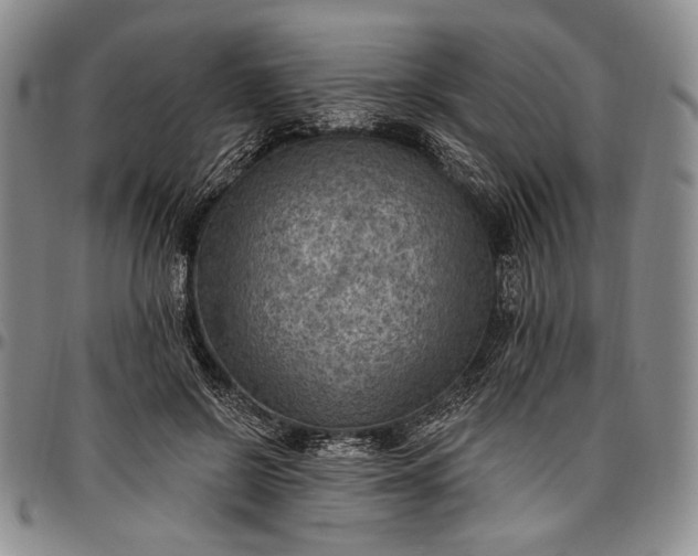 X0000096680550200802191355