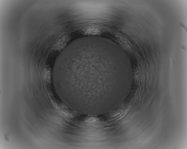 X0000096680551200802191355