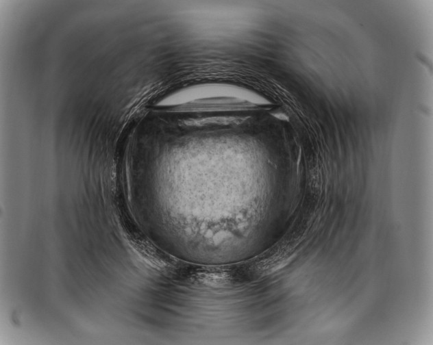 X0000096680552200802191355