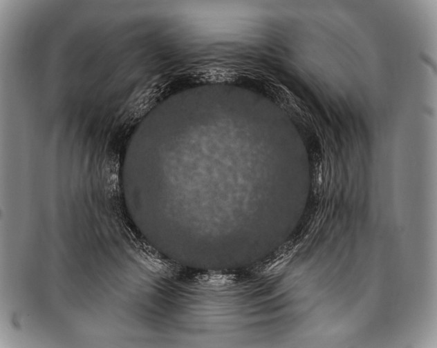 X0000096680553200802191355