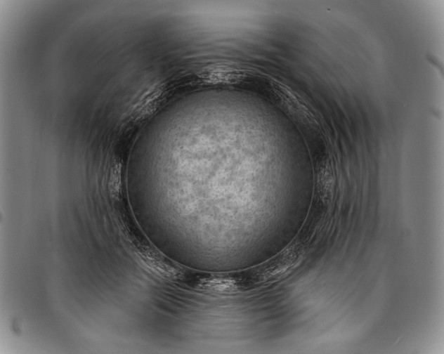 X0000096680554200802191355