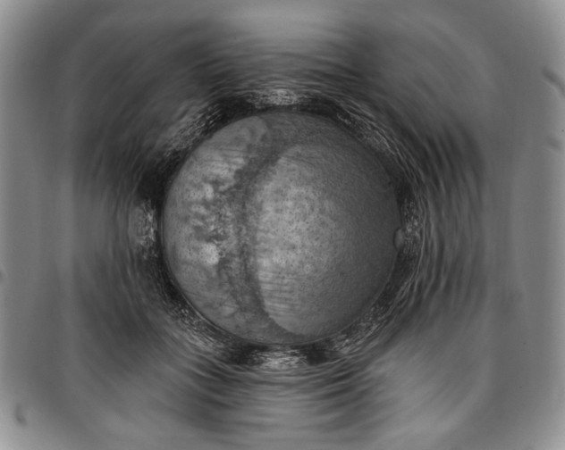 X0000096680555200802191355
