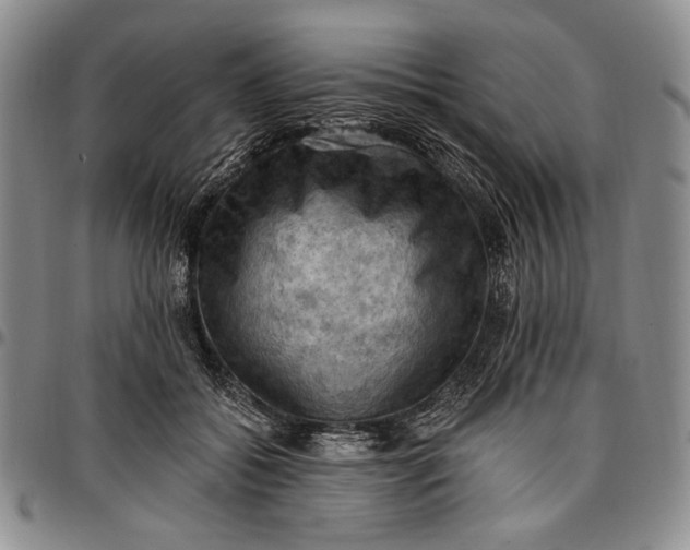 X0000096680556200802191355