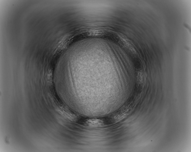 X0000096680557200802191355