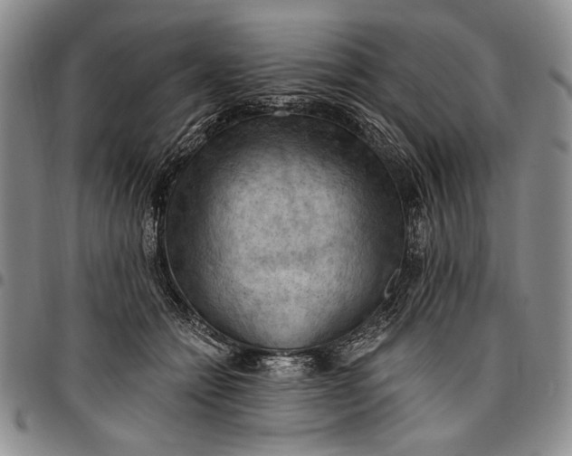 X0000096680558200802191355
