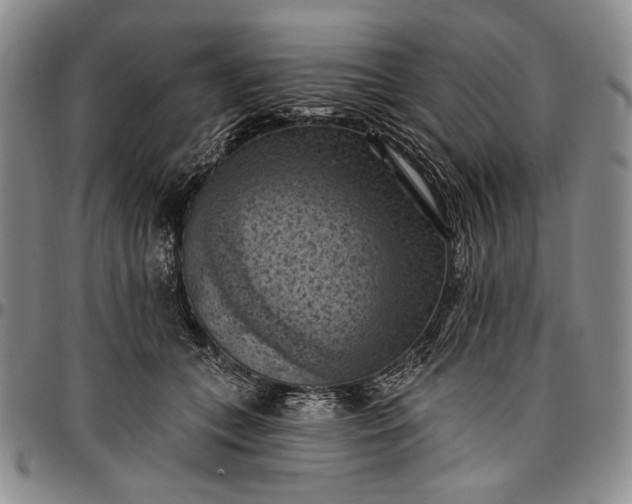 X0000096680559200802191355