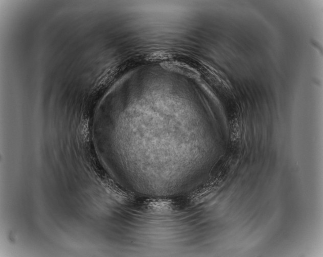 X0000096680560200802191355