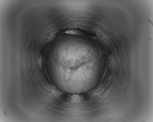 X0000096680562200802191355