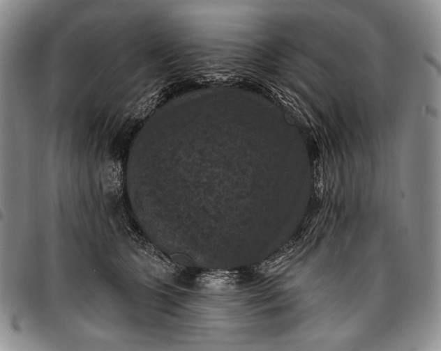 X0000096680563200802191355