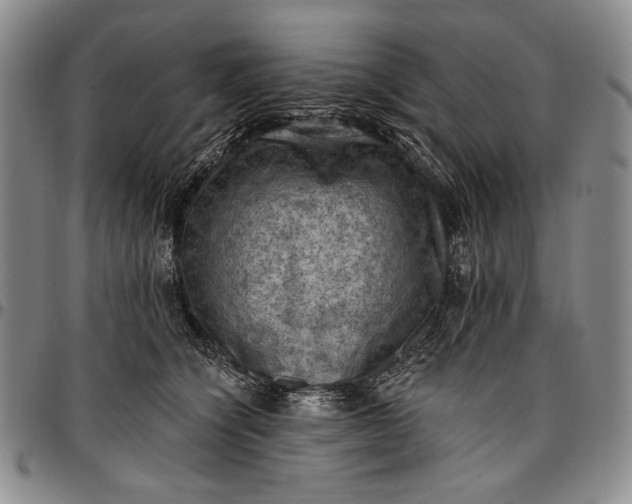X0000096680564200802191355