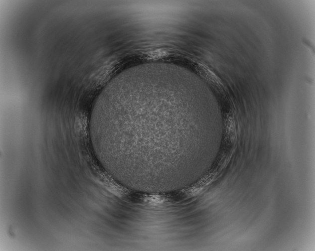 X0000096680565200802191355