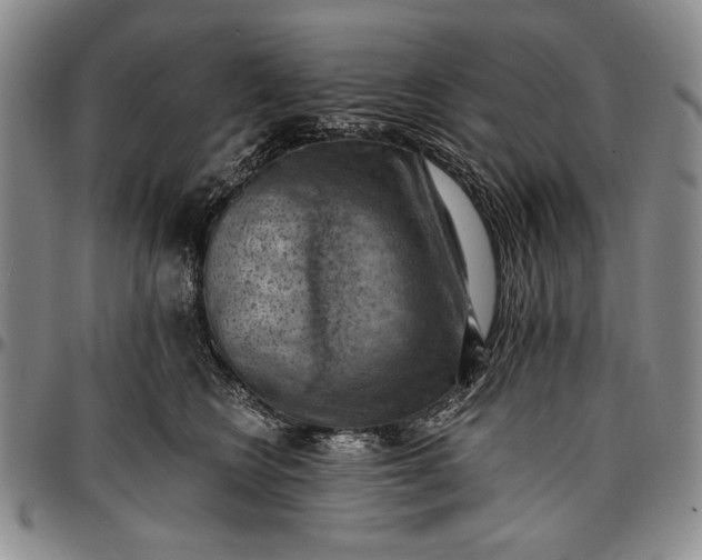 X0000096680566200802191355