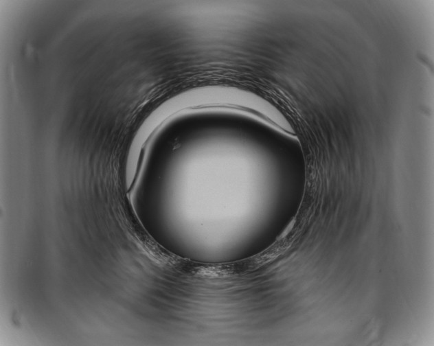 X0000096680568200802191355