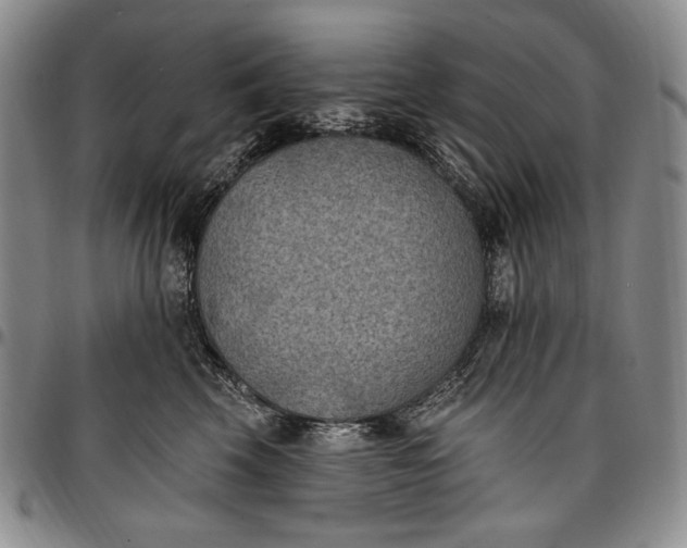 X0000096680569200802191355