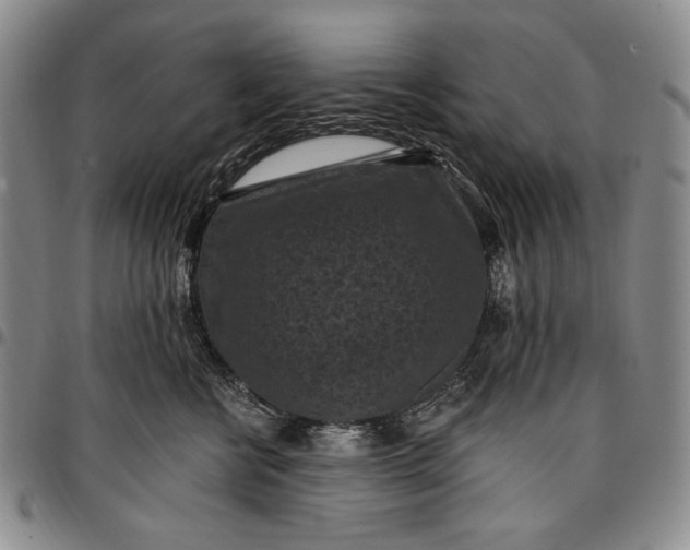 X0000096680570200802191355
