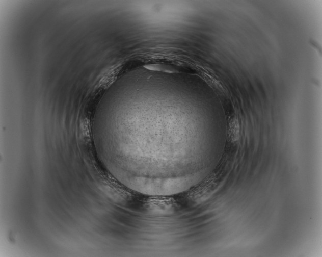 X0000096680571200802191355