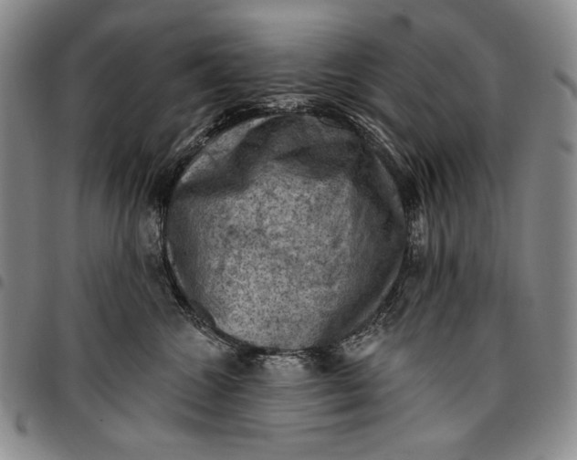 X0000096680572200802191355