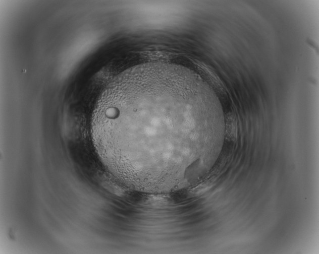 X0000096680573200802191355