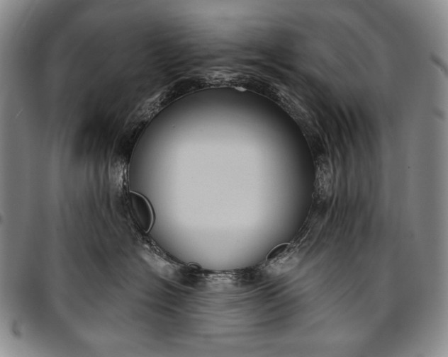 X0000096680574200802191355