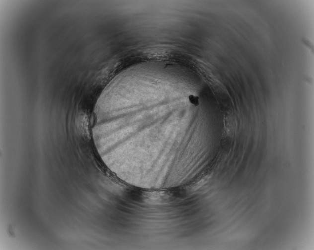 X0000096680575200802191355