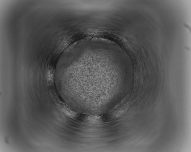 X0000096680576200802191355