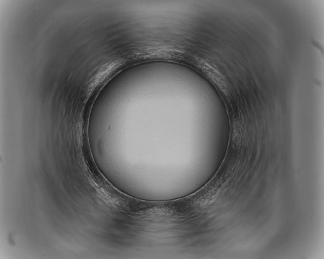 X0000096680578200802191354