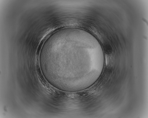 X0000096680579200802191354