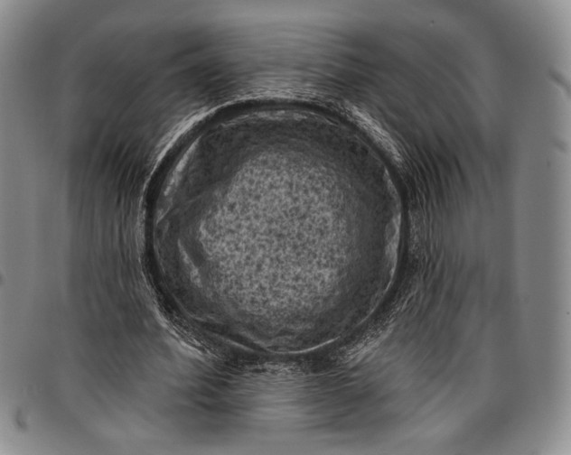X0000096680580200802191354