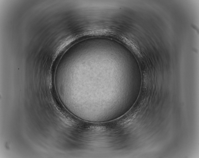 X0000096680582200802191354