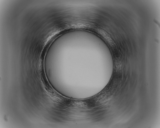 X0000096680583200802191354