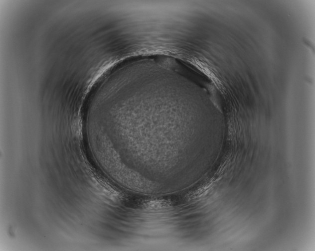 X0000096680584200802191354