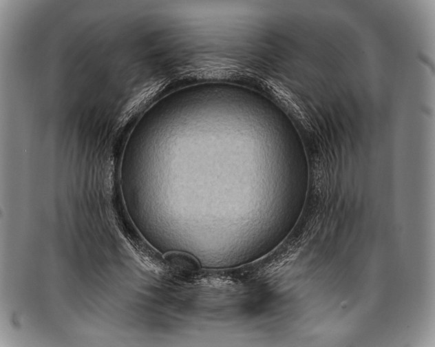 X0000096680586200802191354