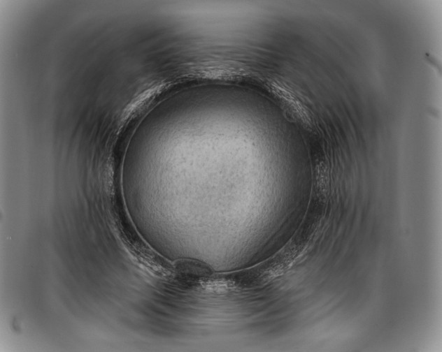 X0000096680587200802191354