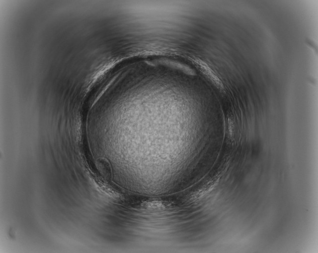 X0000096680588200802191354