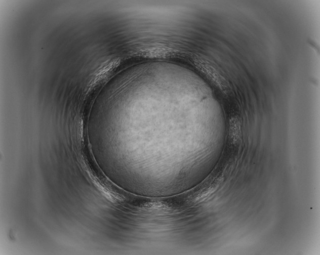 X0000096680589200802191354
