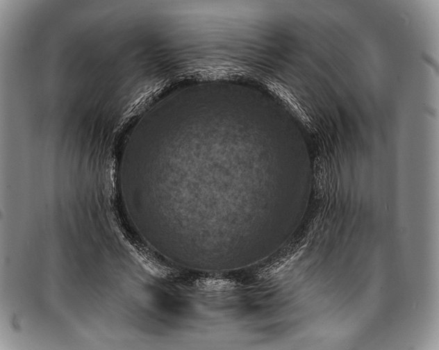 X0000096680590200802191354
