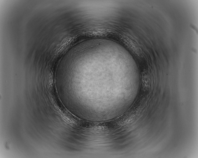 X0000096680593200802191354