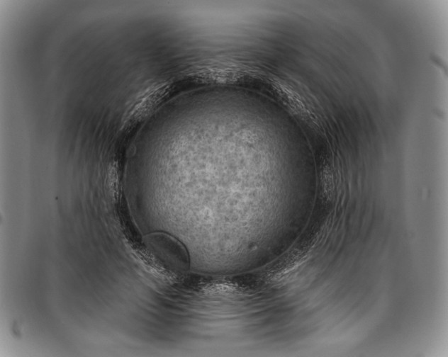 X0000096680594200802191354