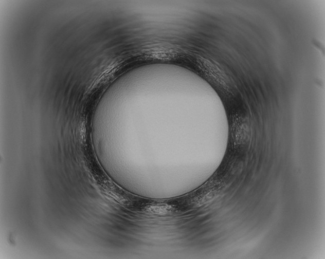 X0000096680595200802191354
