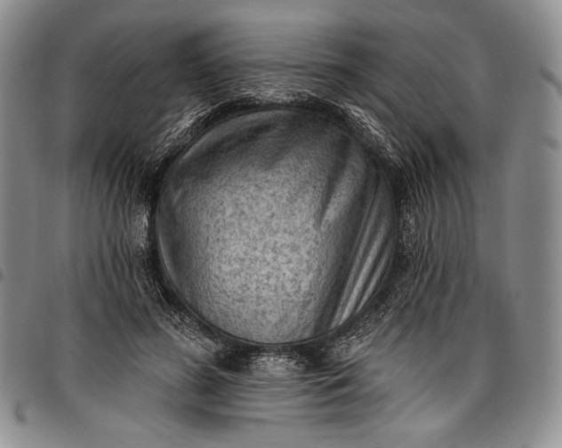 X0000096680596200802191354
