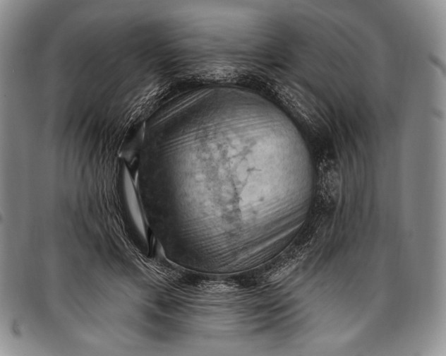 X0000096680597200802191354