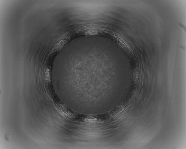 X0000096680598200802191354