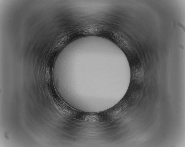 X0000096680599200802191354